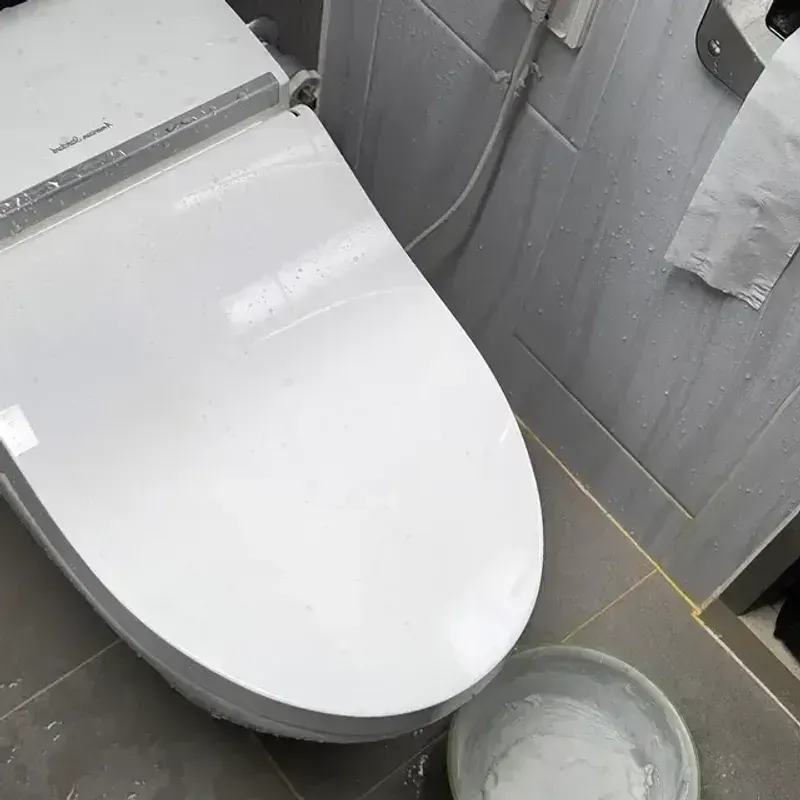 덕산면 하수구막힘 변기 막힘 원인